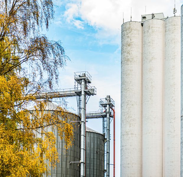 ©_O.Malzahn_LPA_746570 ©_O.Malzahn_LPA_746570