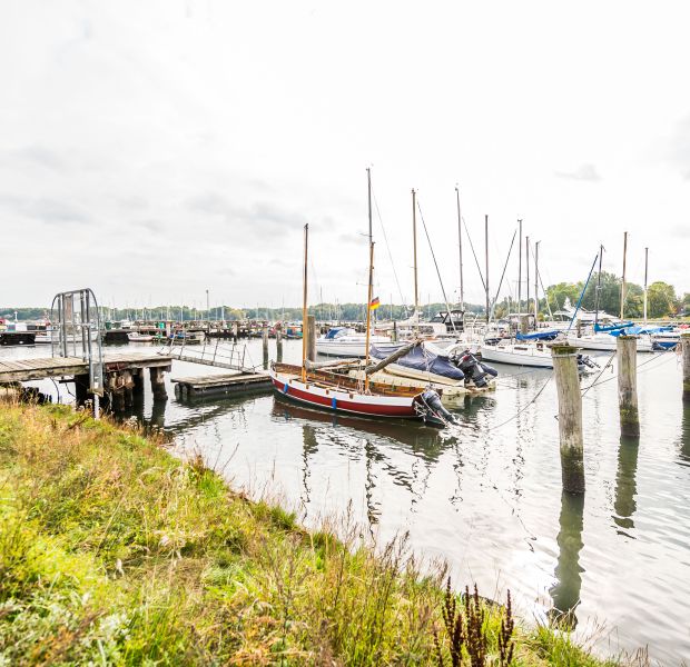 ©_O.Malzahn__LPA_735251 ©_O.Malzahn__LPA_735251