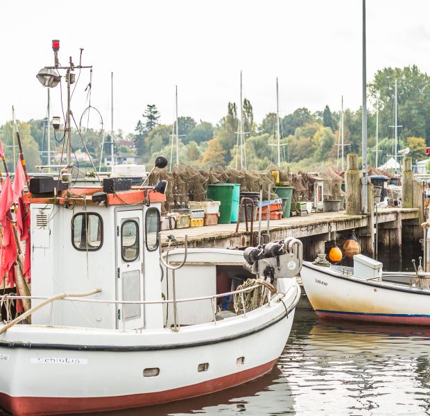 ©_O.Malzahn__LPA_735255 ©_O.Malzahn__LPA_735255