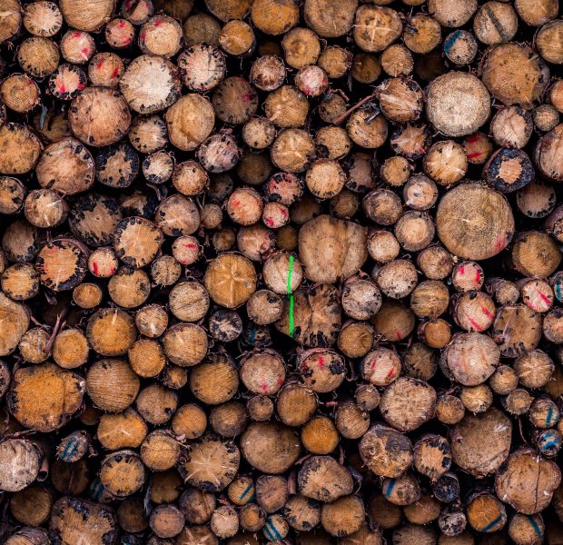 ©_O.Malzahn_LPA_745778 ©_O.Malzahn_LPA_745778