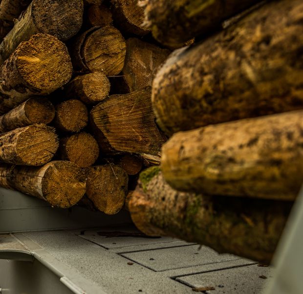 ©_O.Malzahn_LPA_745843 ©_O.Malzahn_LPA_745843